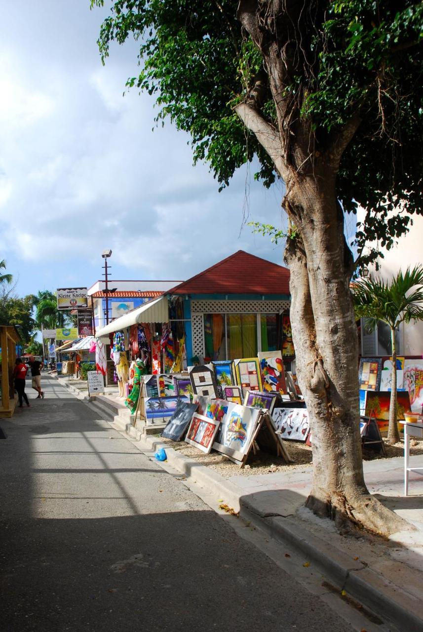Caribe Apartament S&D El Castillo Dominicus Apartamento #9 Bayahibe Εξωτερικό φωτογραφία